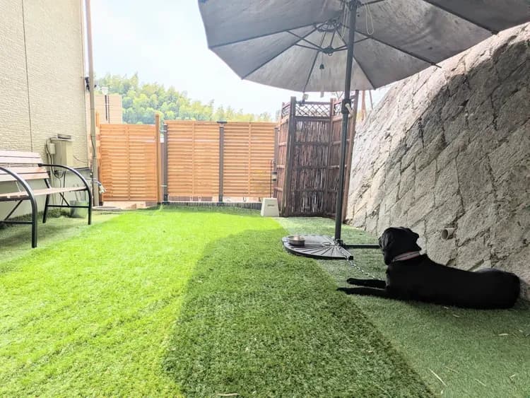 モナは普段は裏庭のペット部屋におります。