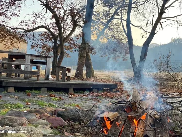 アウトドアフィールドではテントを建てたり焚き火をしながらのんびりすることもできます。