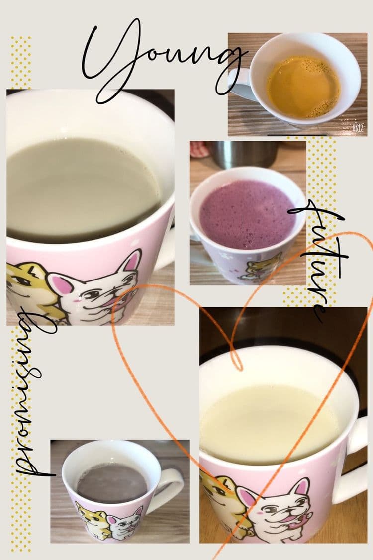 稻香田園民宿-12