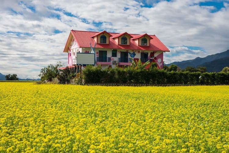 稻香田園民宿-15