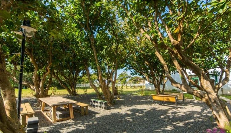 墾丁夏綠地民宿｜墾丁國家森林遊樂區旁-6