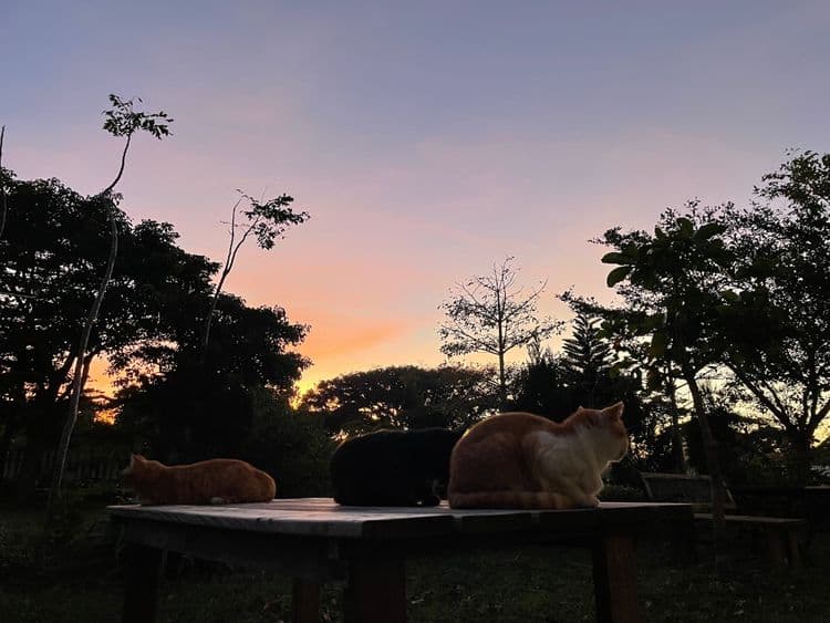 墾丁夏綠地民宿｜墾丁國家森林遊樂區旁-10