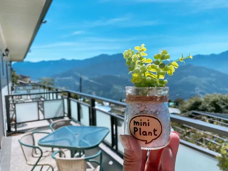 Home Stay Of CingJing-1