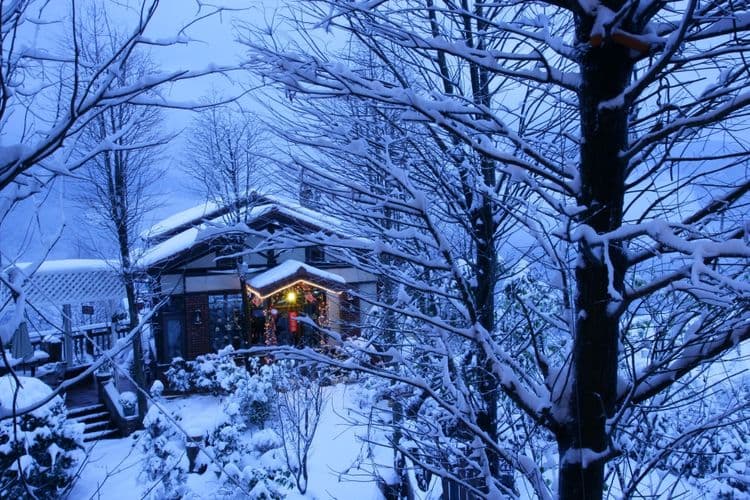 清境來福居民宿-11