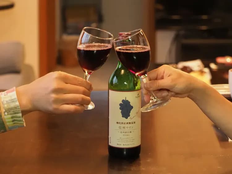 A villa in the forest in Nankarazawa.-11