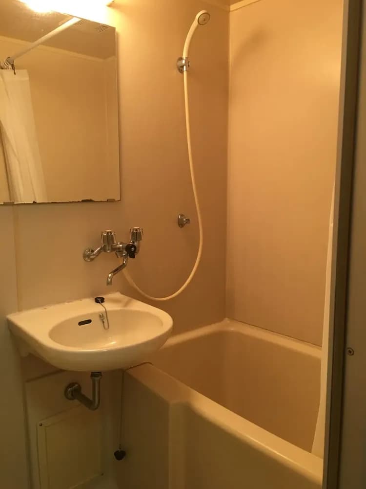 American Palace -仲良し夫婦がお出迎え--13