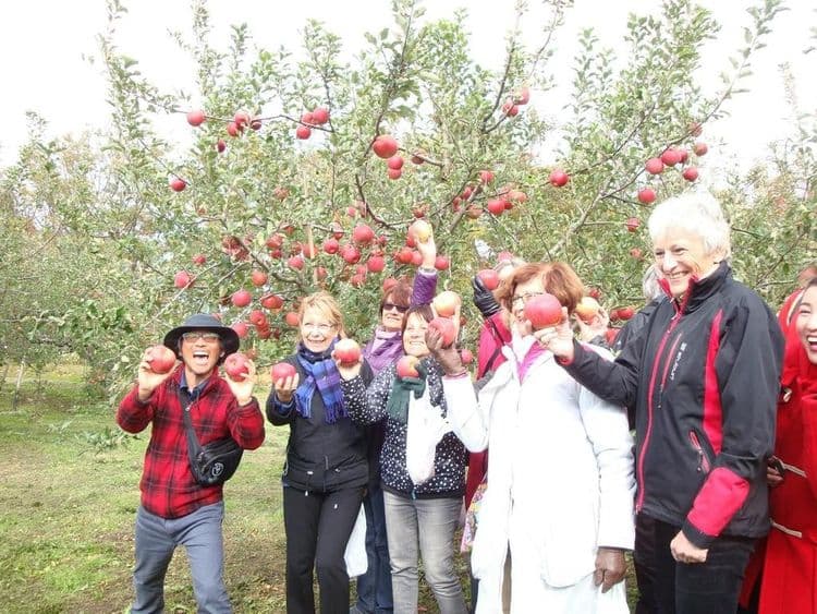 APPLE PICKING