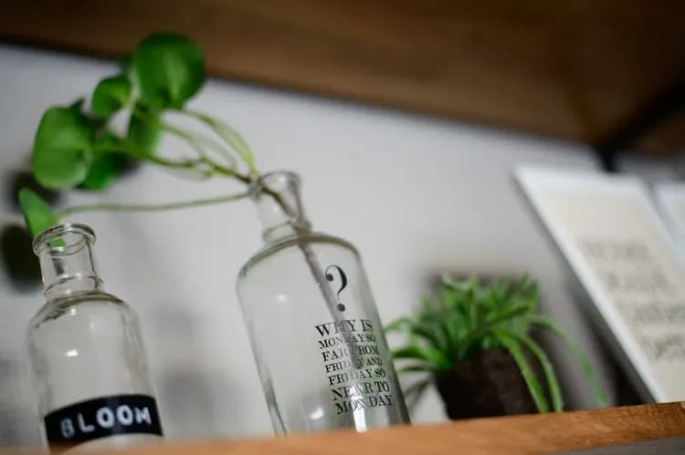 Rakuten STAY HOUSE x WILL STYLE 佐世保-5-17