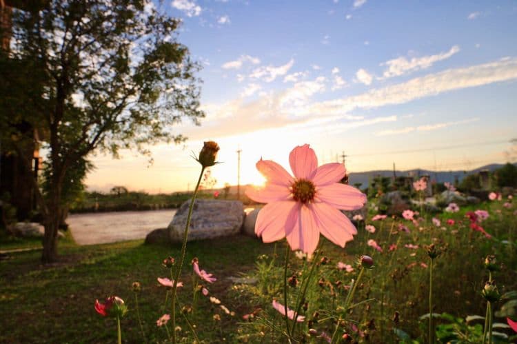 Hanaga Garden Guest House-6