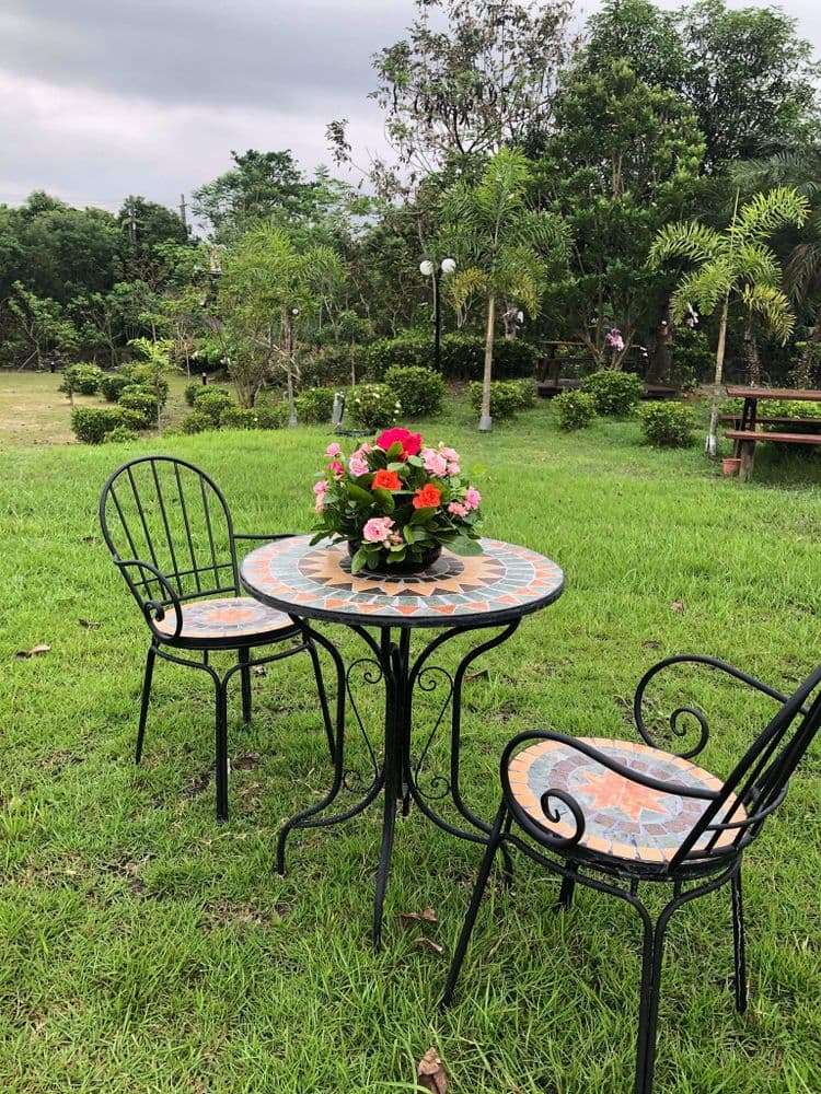 倚月觀荷大草原