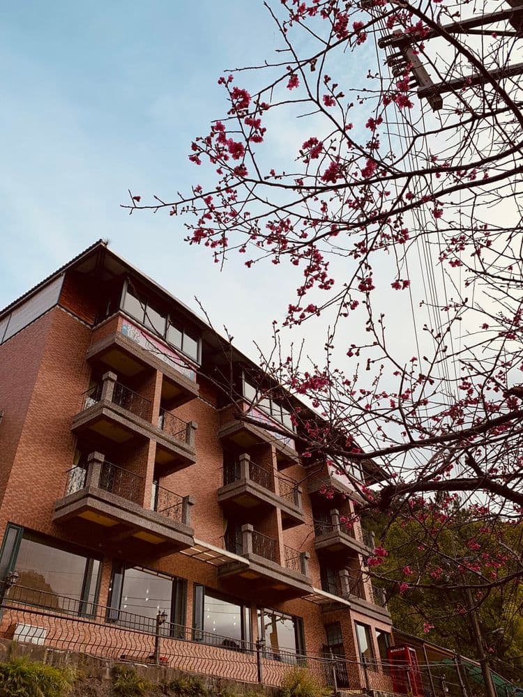 Taoyuan Xiaowulai Villa-4