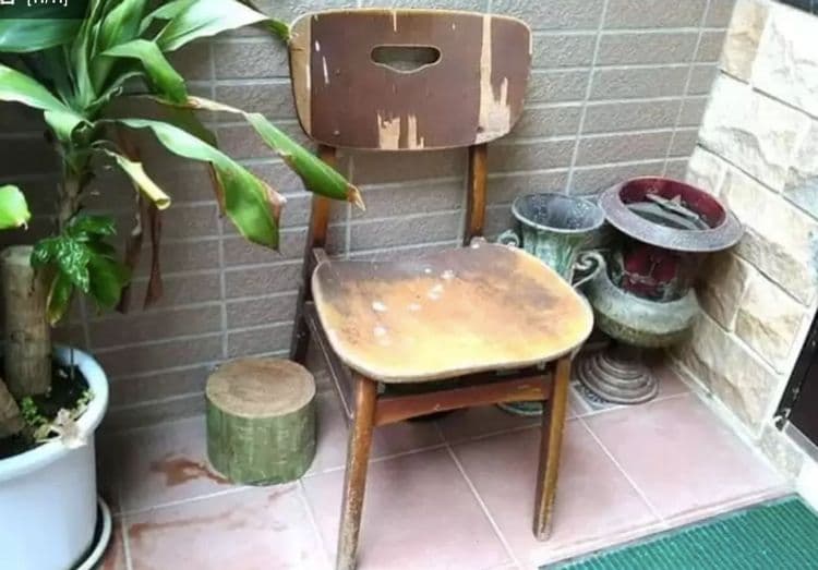 Kinmen Casuarina B&B-5