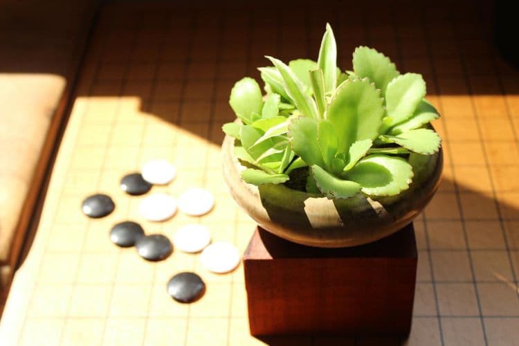 White house 35 B&B-14