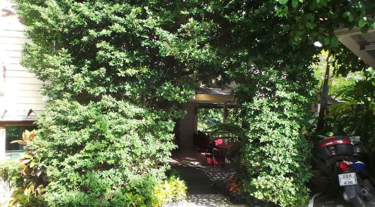 On The Hill Karon Resort-5