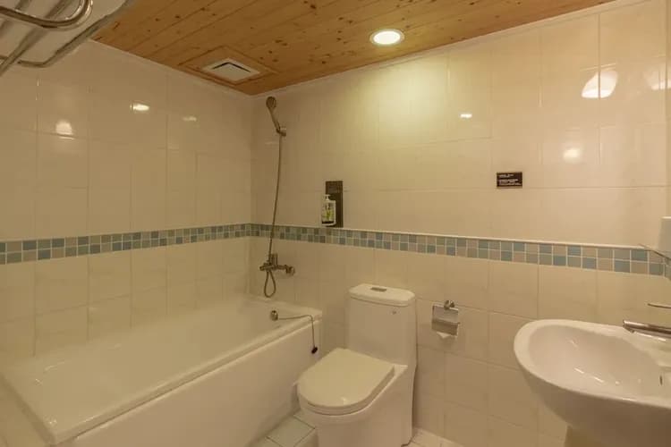 浴室(每間房間不同)