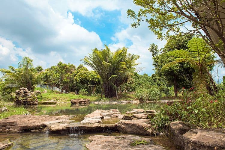 五柳園休閒農場-12