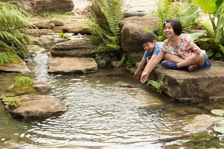 五柳園休閒農場-4