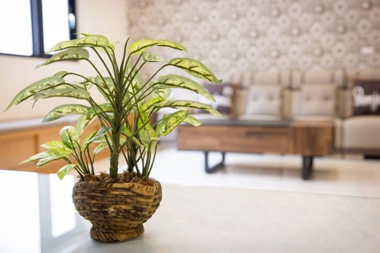 佳來民宿 l 獨家優惠-5