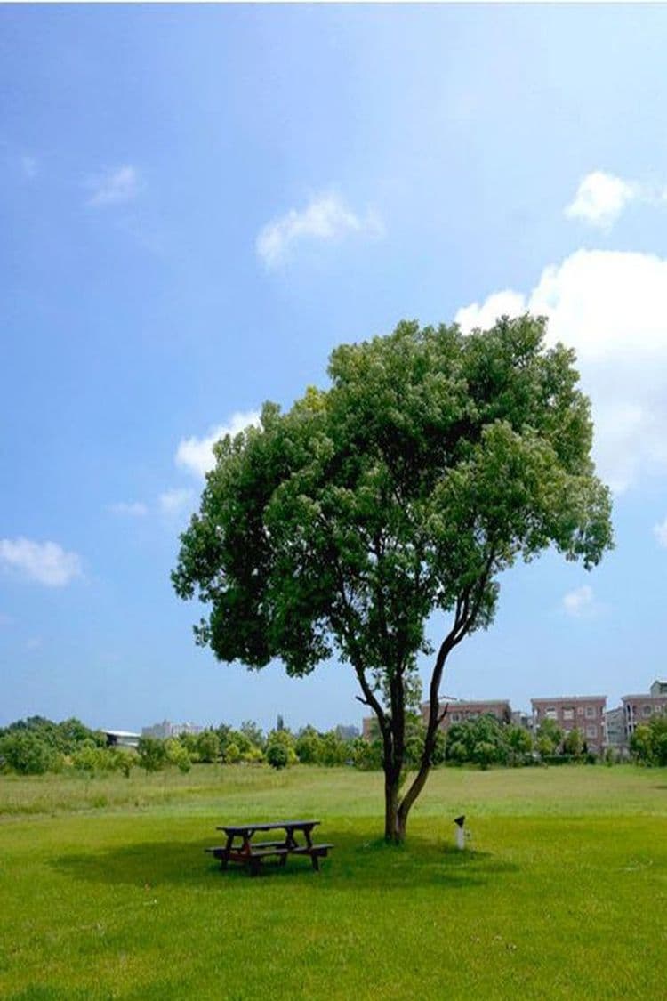 戶外庭院及景觀