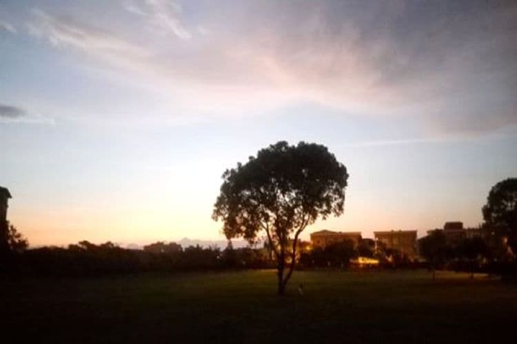 戶外庭院及景觀