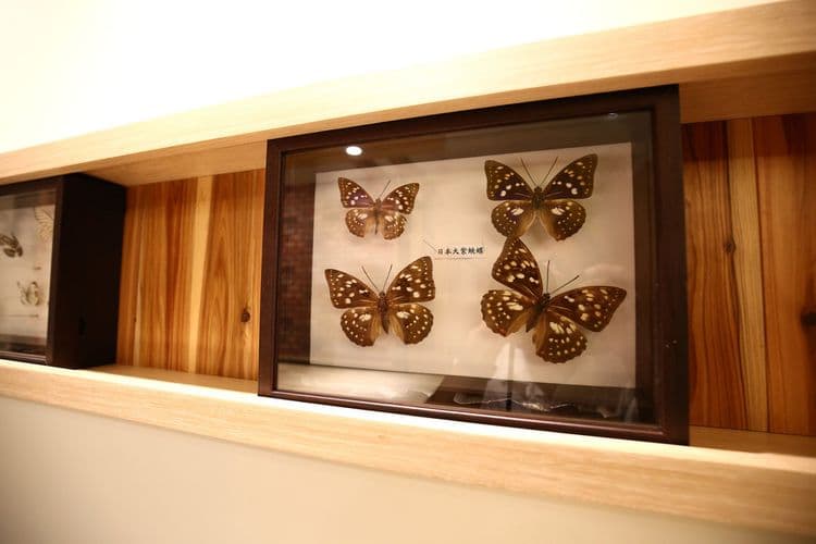 Butterfly Legend Homestay-11