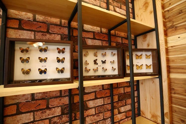 Butterfly Legend Homestay-12