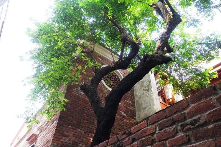 Lukang traveller inns-9