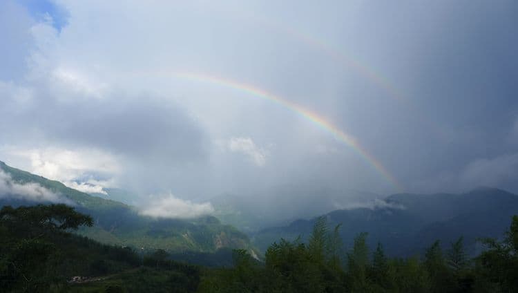 新天山茶業民宿-4
