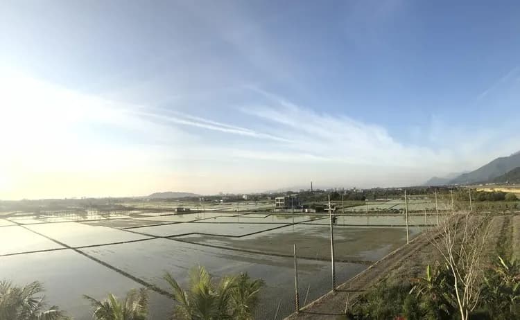 簡單生活景觀｜看見幸福民宿-15