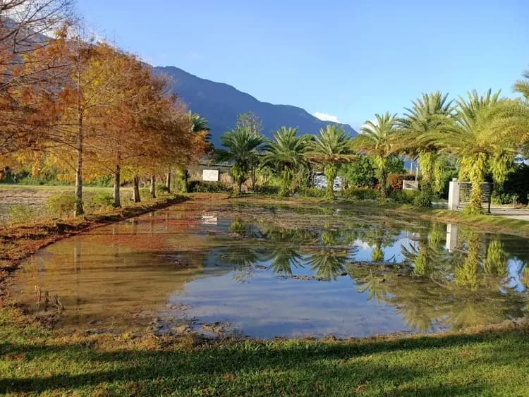 簡單生活景觀｜看見幸福民宿-16