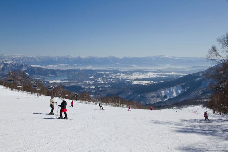 妙高杉之原滑雪場-可從旅宿直接滑到雪場