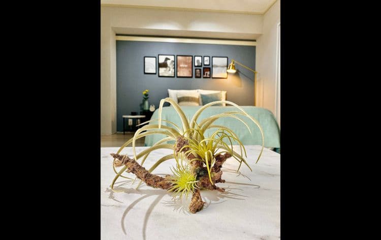 Alo BnB 6｜駒込站步行3分/最多6人-9