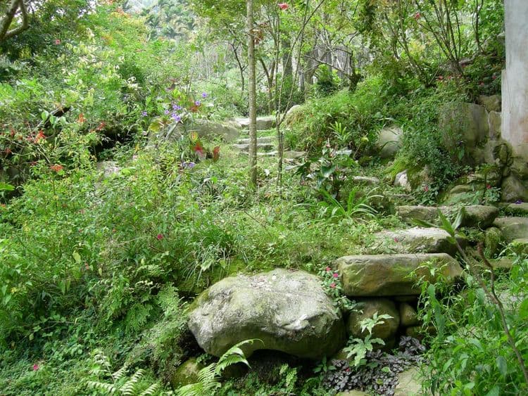 Siyuanju Homestay-11