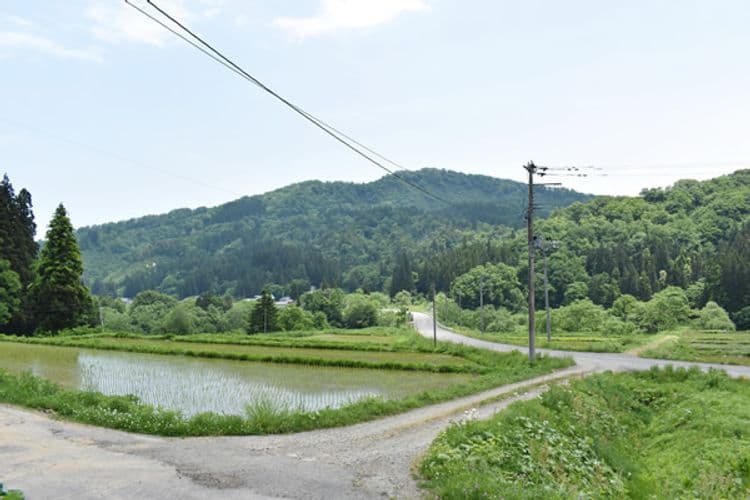 Farmer's Guest House: Shotaro-4