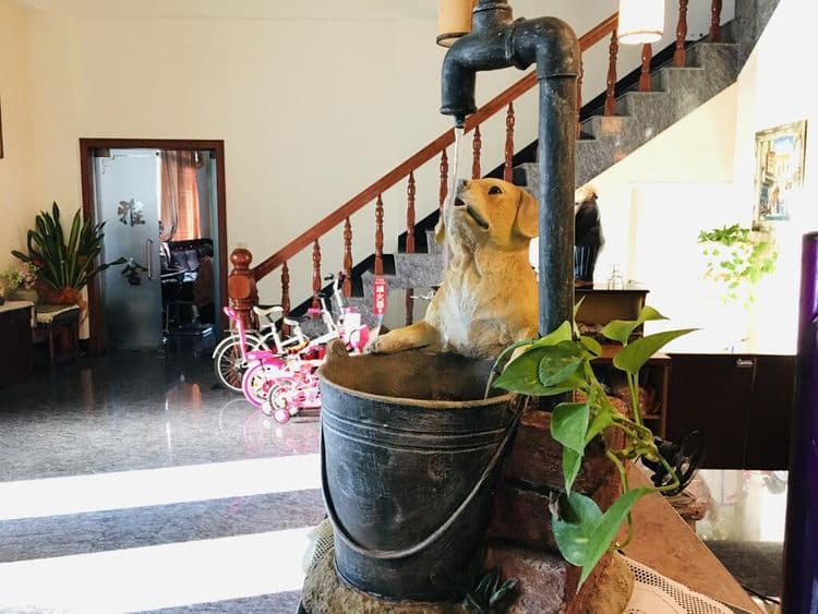 Chong Er Ya She Homestay-7