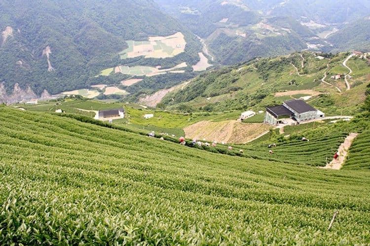 The best yurt accommodation in the stream-Cingjing-12