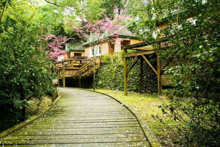 力麗馬告生態園區｜棲蘭山莊-4