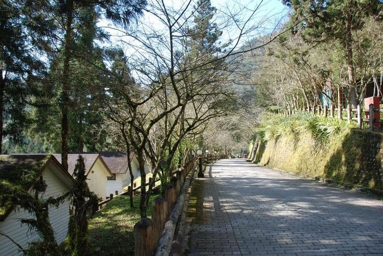 力麗馬告生態園區｜棲蘭山莊-11