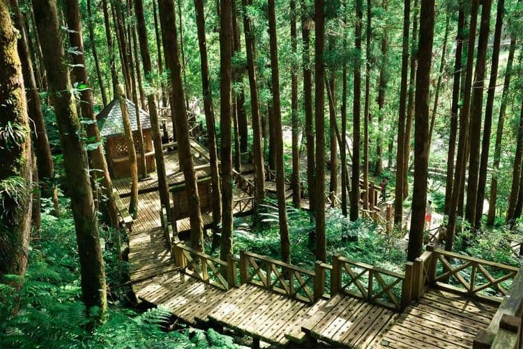 力麗馬告生態園區｜明池山莊-4