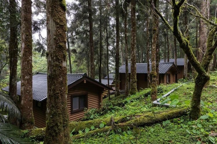 力麗馬告生態園區｜明池山莊-5