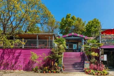 Seeking-Alishan Sunrise-3