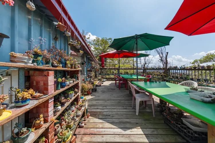 Seeking-Alishan Sunrise-17