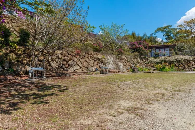 Seeking-Alishan Sunrise-19