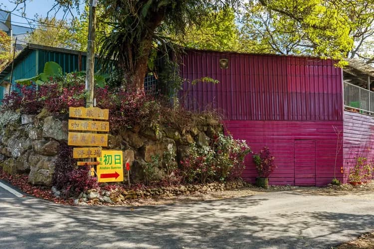 Seeking-Alishan Sunrise-11