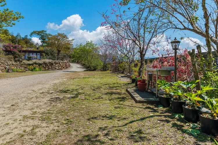 Seeking-Alishan Sunrise-20