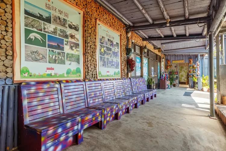 Seeking-Alishan Sunrise-13