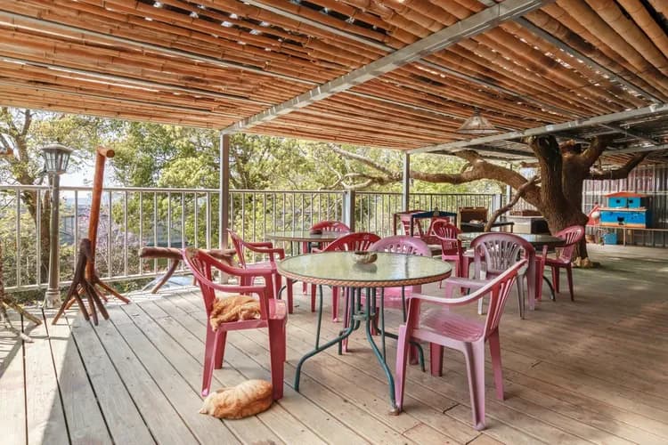 Seeking-Alishan Sunrise-14