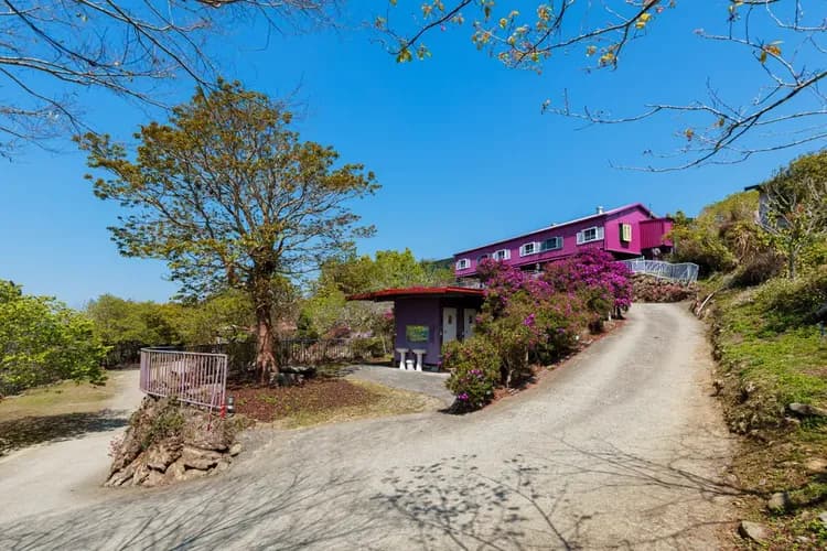 Seeking-Alishan Sunrise-10