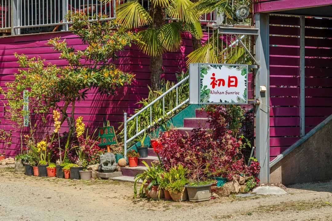 嘉義縣-阿里山初日 | Alishan Sunrise