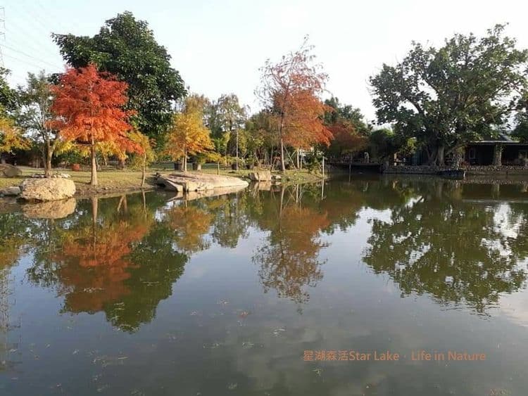 民宿旁湖畔景觀 秋色